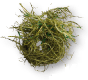 Z K E